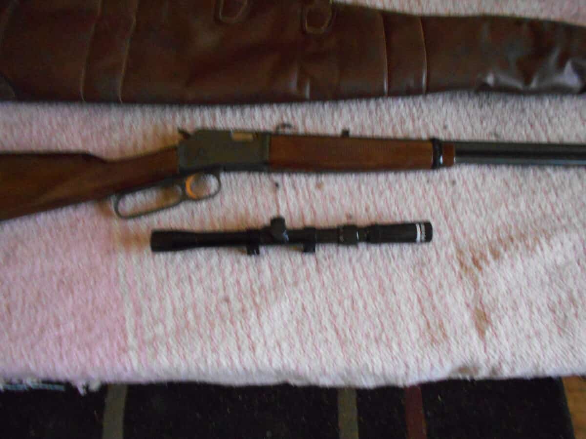 browning bl 22 avec telescope