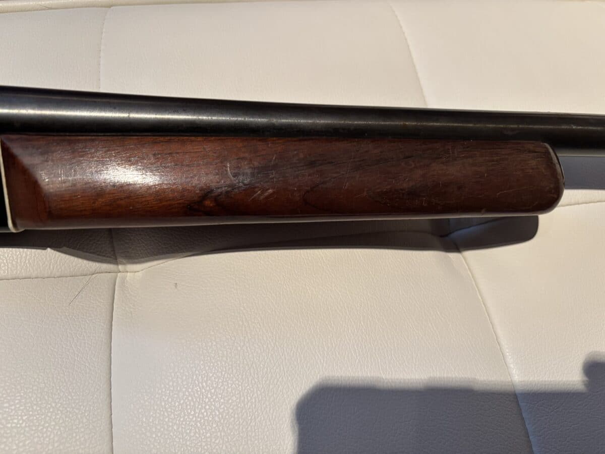 CIL Model 402 .20