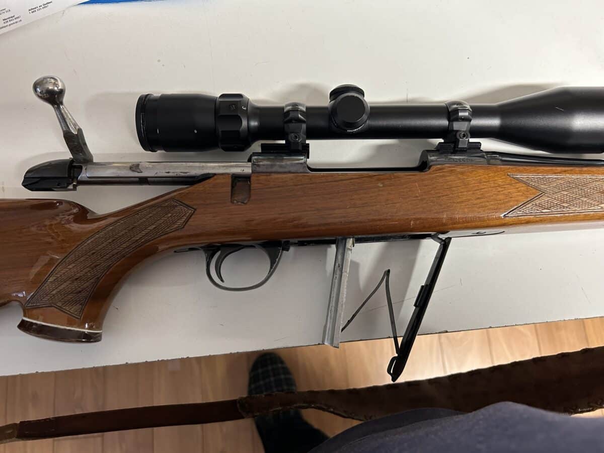 Carabine à vendre