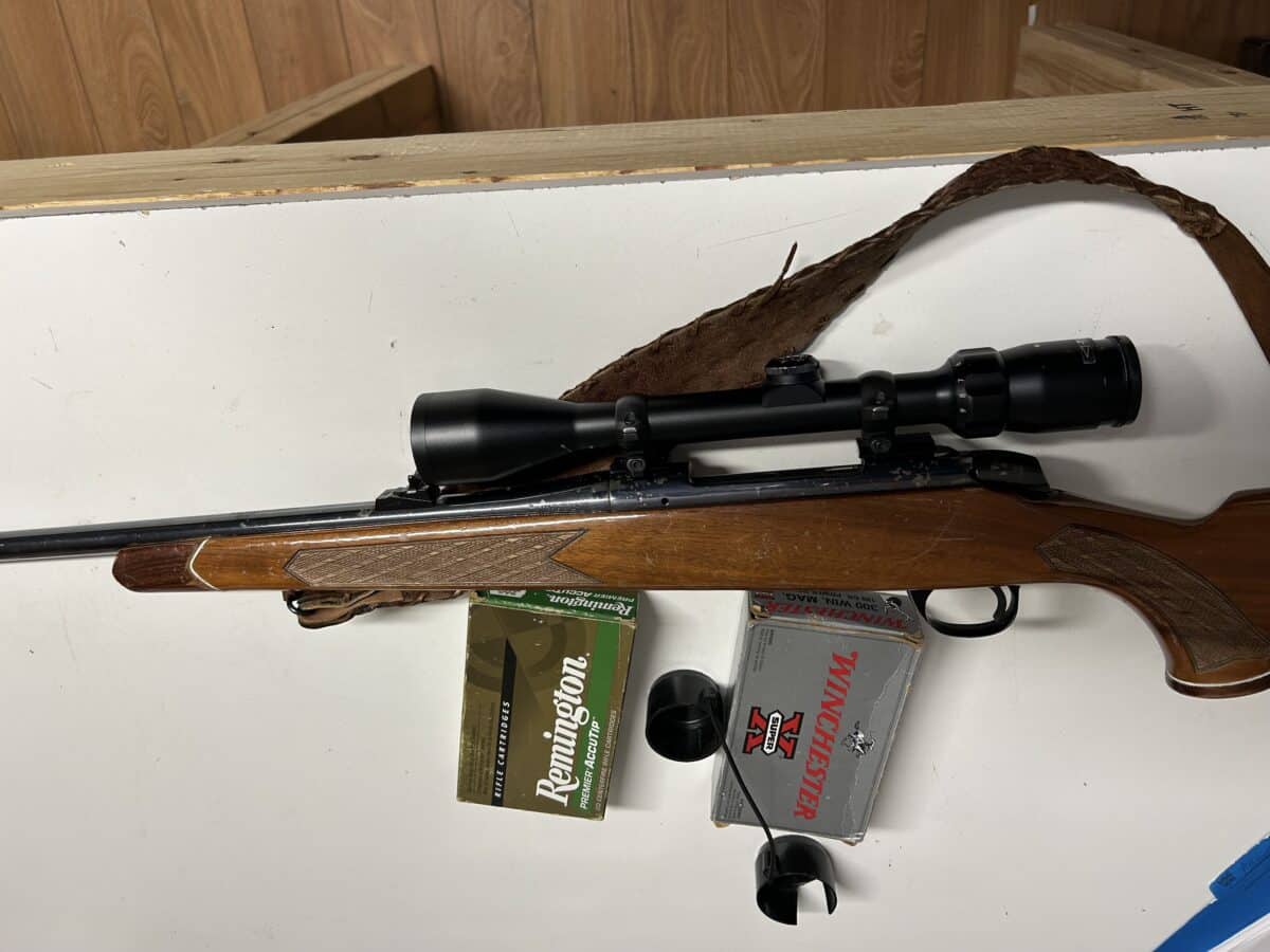 Carabine à vendre