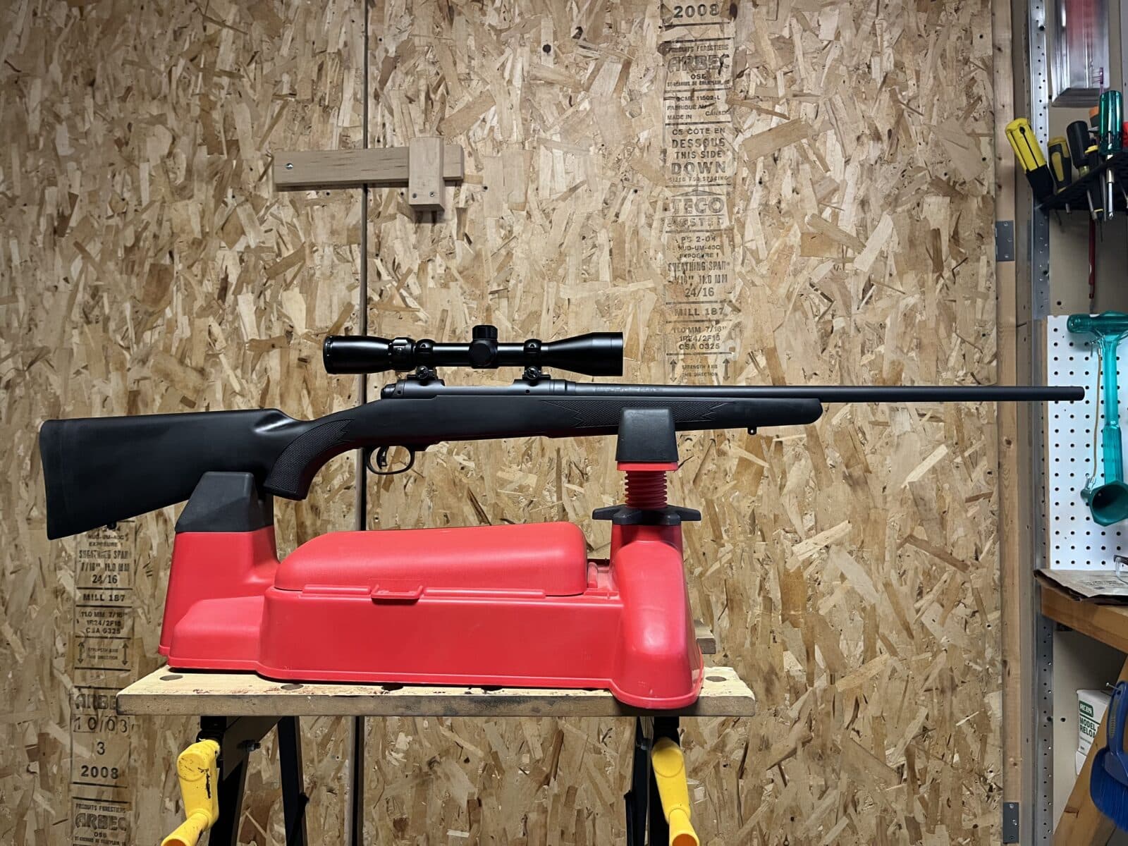 Savage 10, 204Ruger