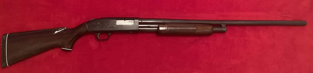 IDÉAL POUR LE PIGEON D’ARGILE, DINDON OU PETIT GIBIER Mossberg 50