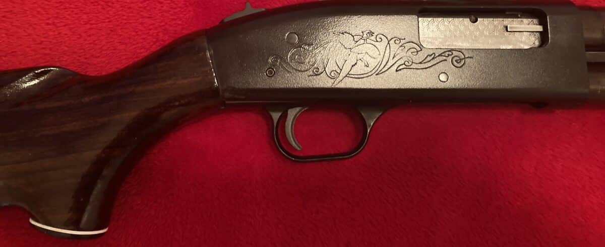 IDÉAL POUR LE PIGEON D’ARGILE, DINDON OU PETIT GIBIER Mossberg 50