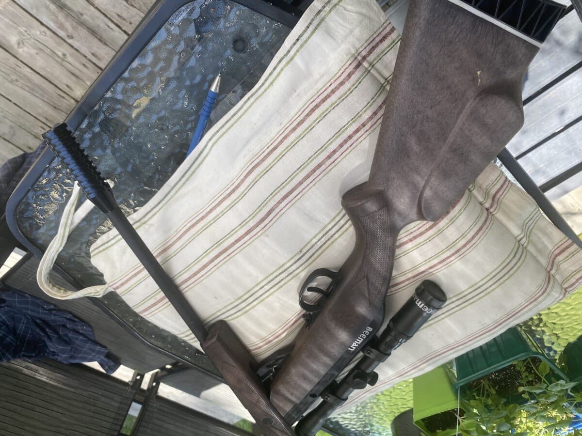 Carabine à plomb