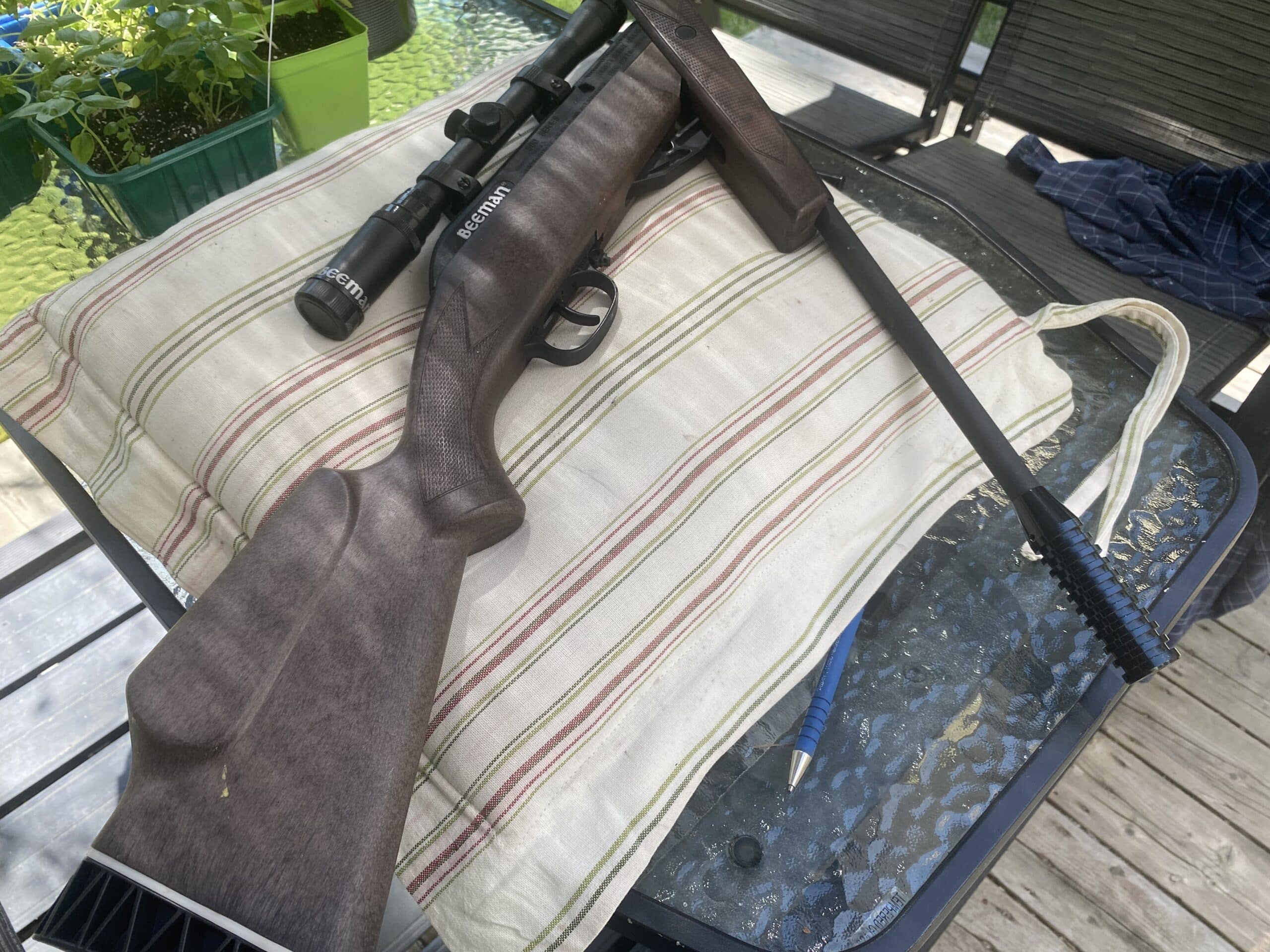Carabine à plomb