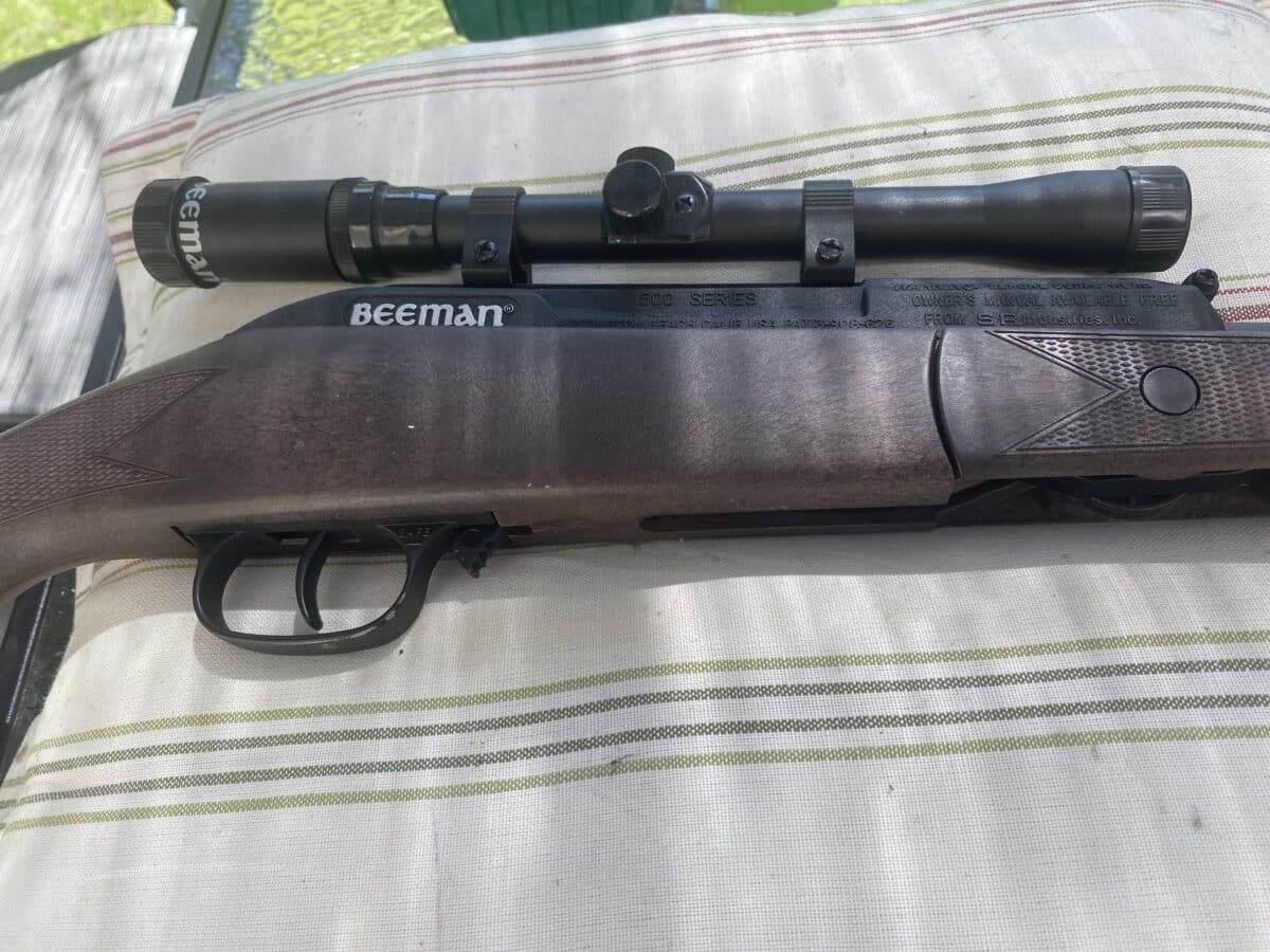 Carabine à plomb