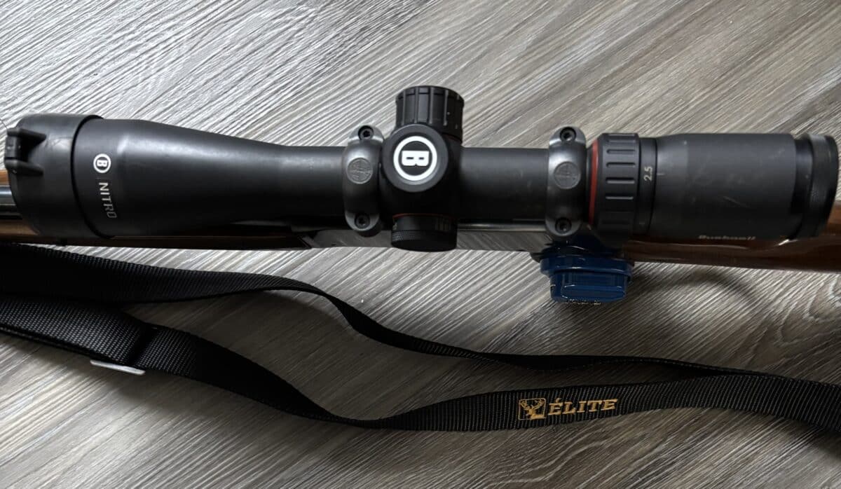 Browning 308 BLR
