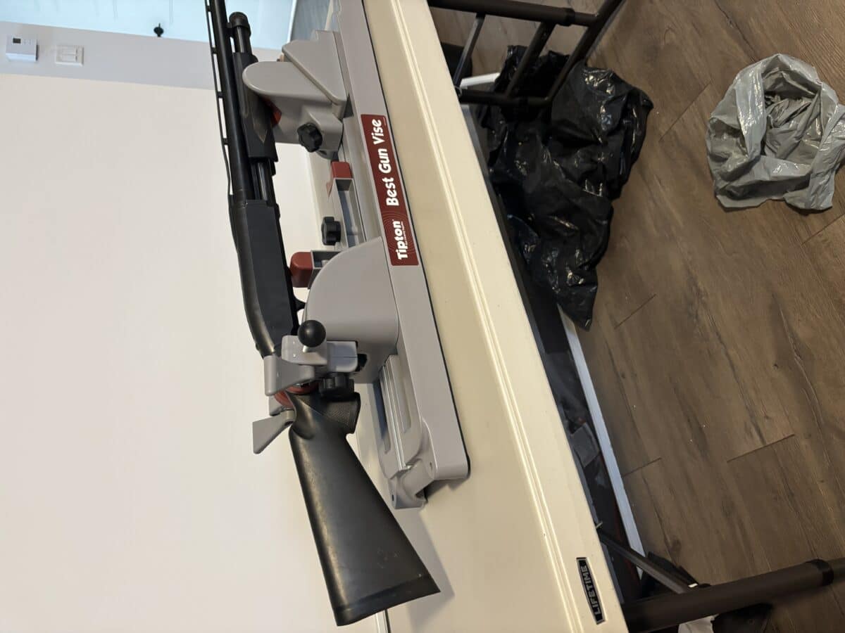Browning bps 10 gauge