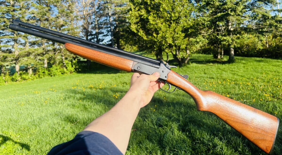 Savage 24c série P 22lr/20ga