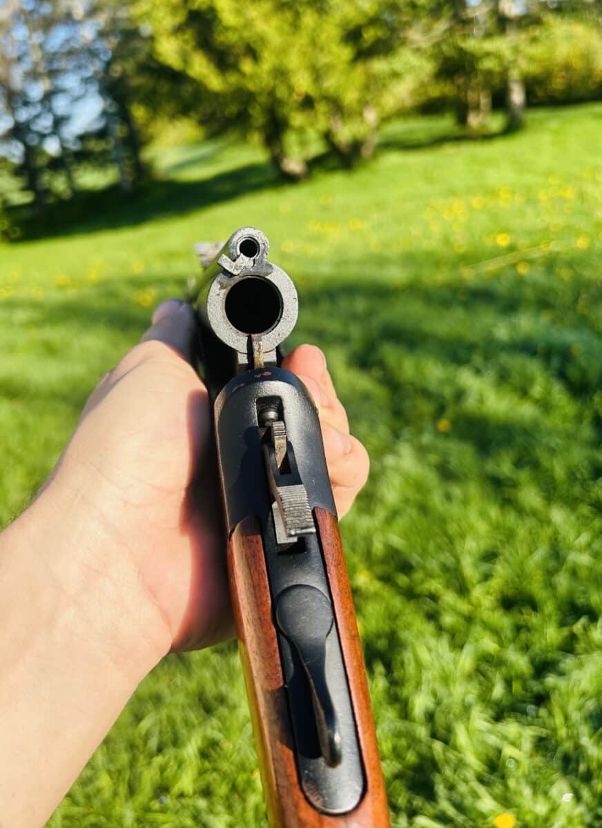 Savage 24c série P 22lr/20ga