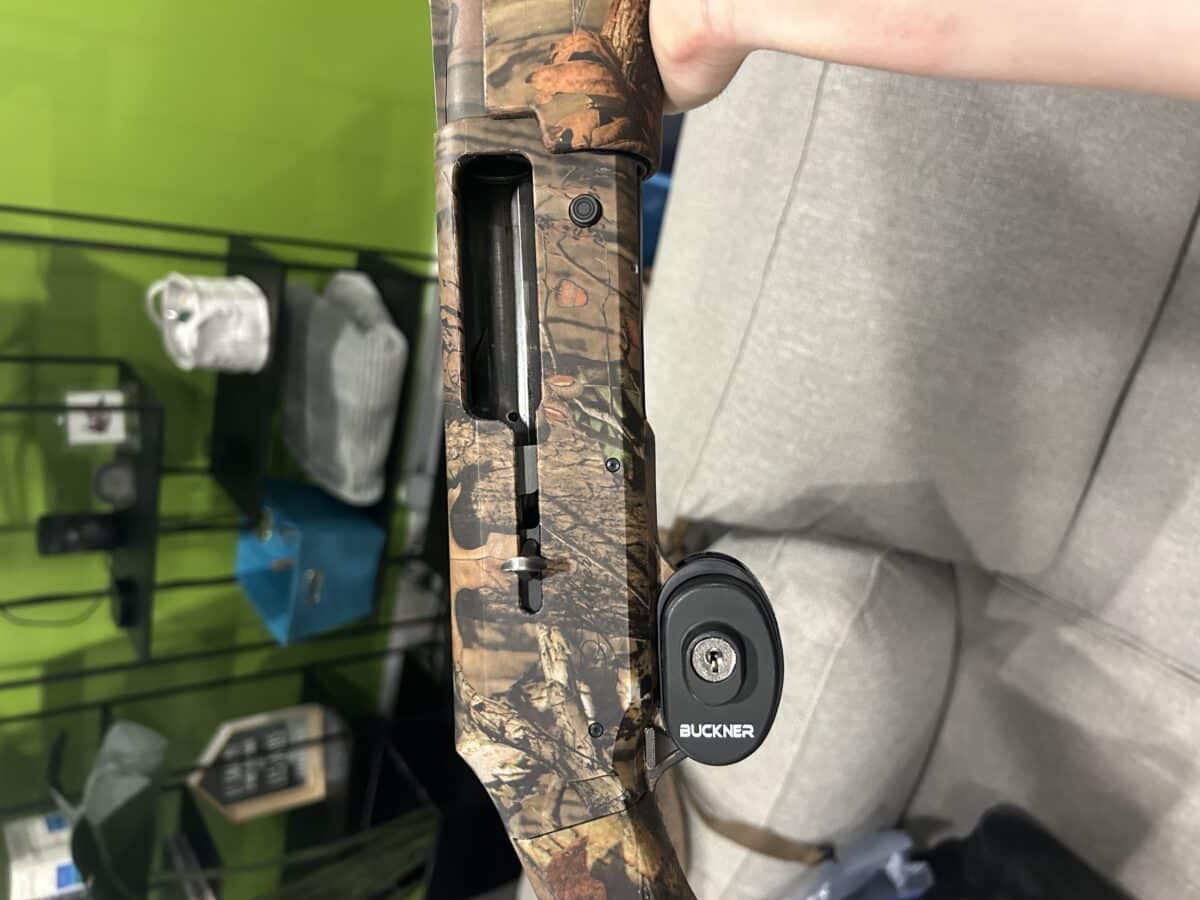 Browning Silver cal 12