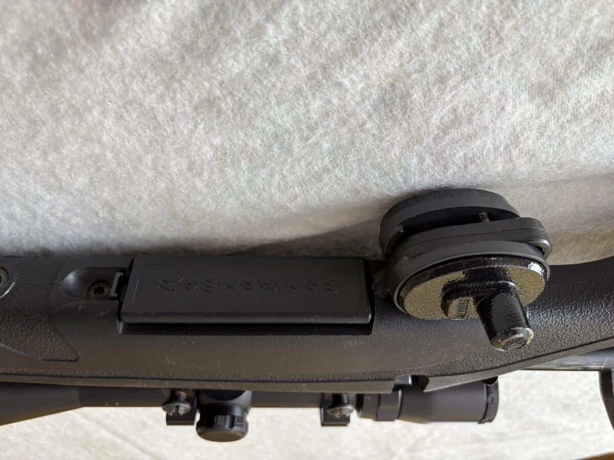 300 mag Remington modèle 770 composite