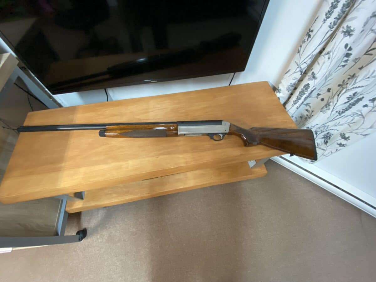 Beretta pintail es100 Vittoria