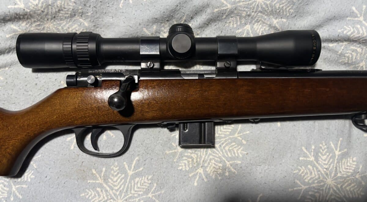 22 magnum marlin model 25 MN telescope bush&lumb élite 3000
