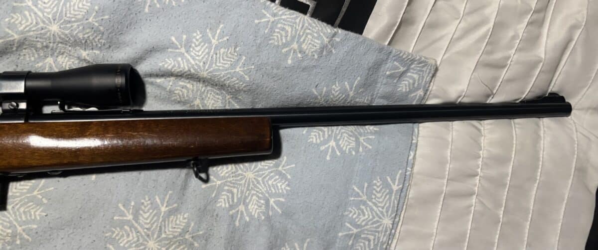 22 magnum marlin model 25 MN telescope bush&lumb élite 3000