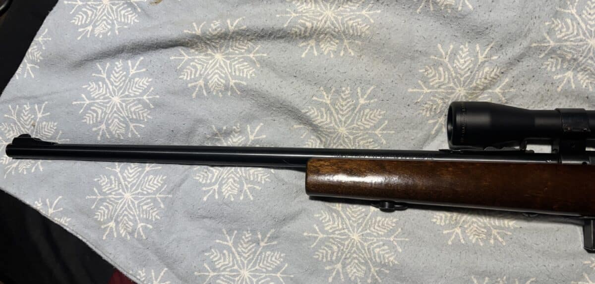 22 magnum marlin model 25 MN telescope bush&lumb élite 3000