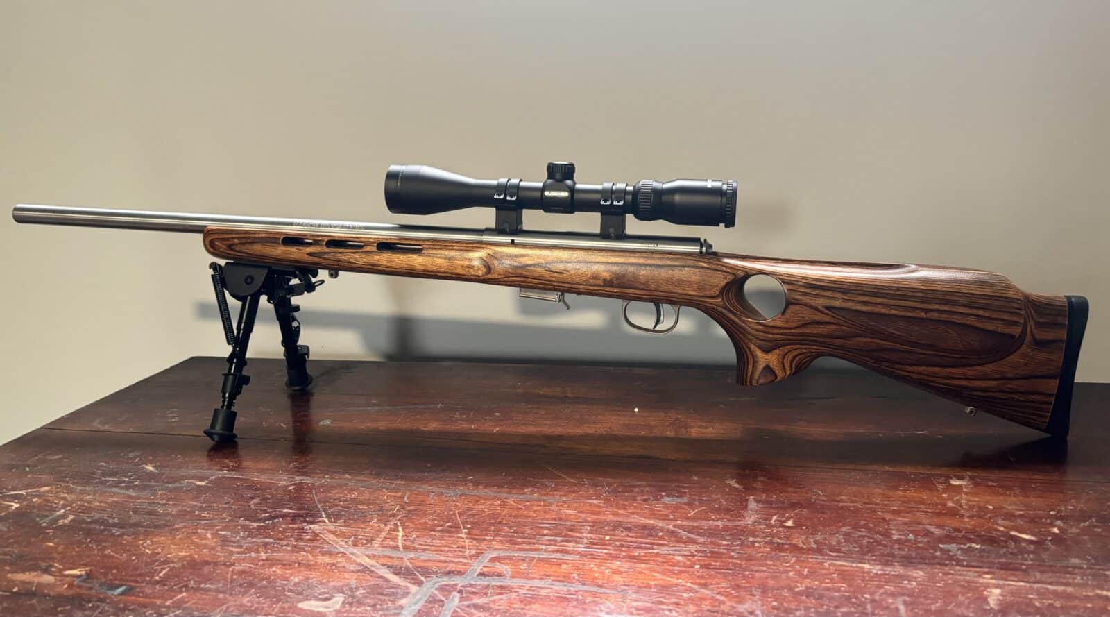 17 HMR savage 93R17 stainless avec scoop bipod