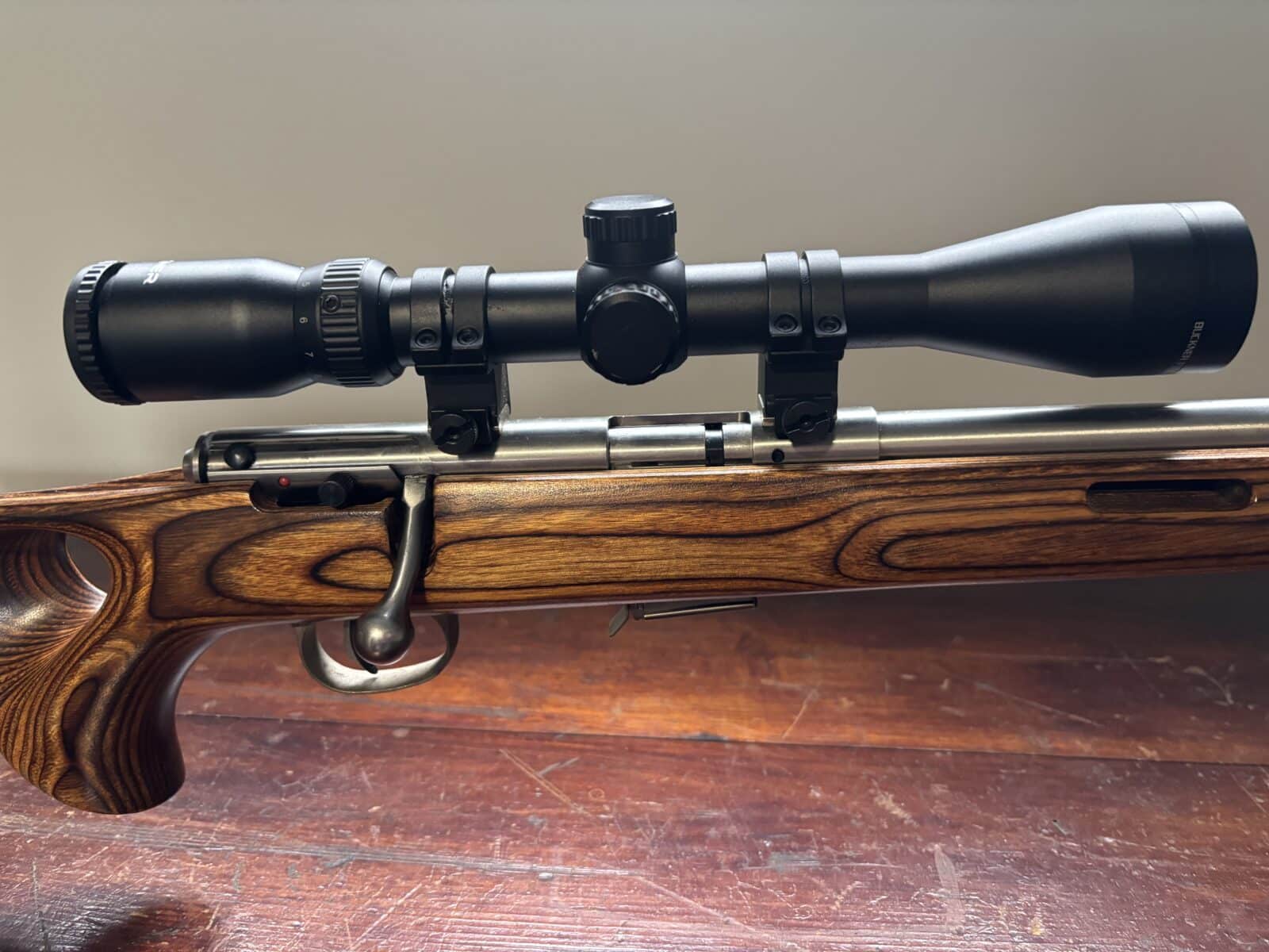 17 HMR savage 93R17 stainless avec scoop bipod