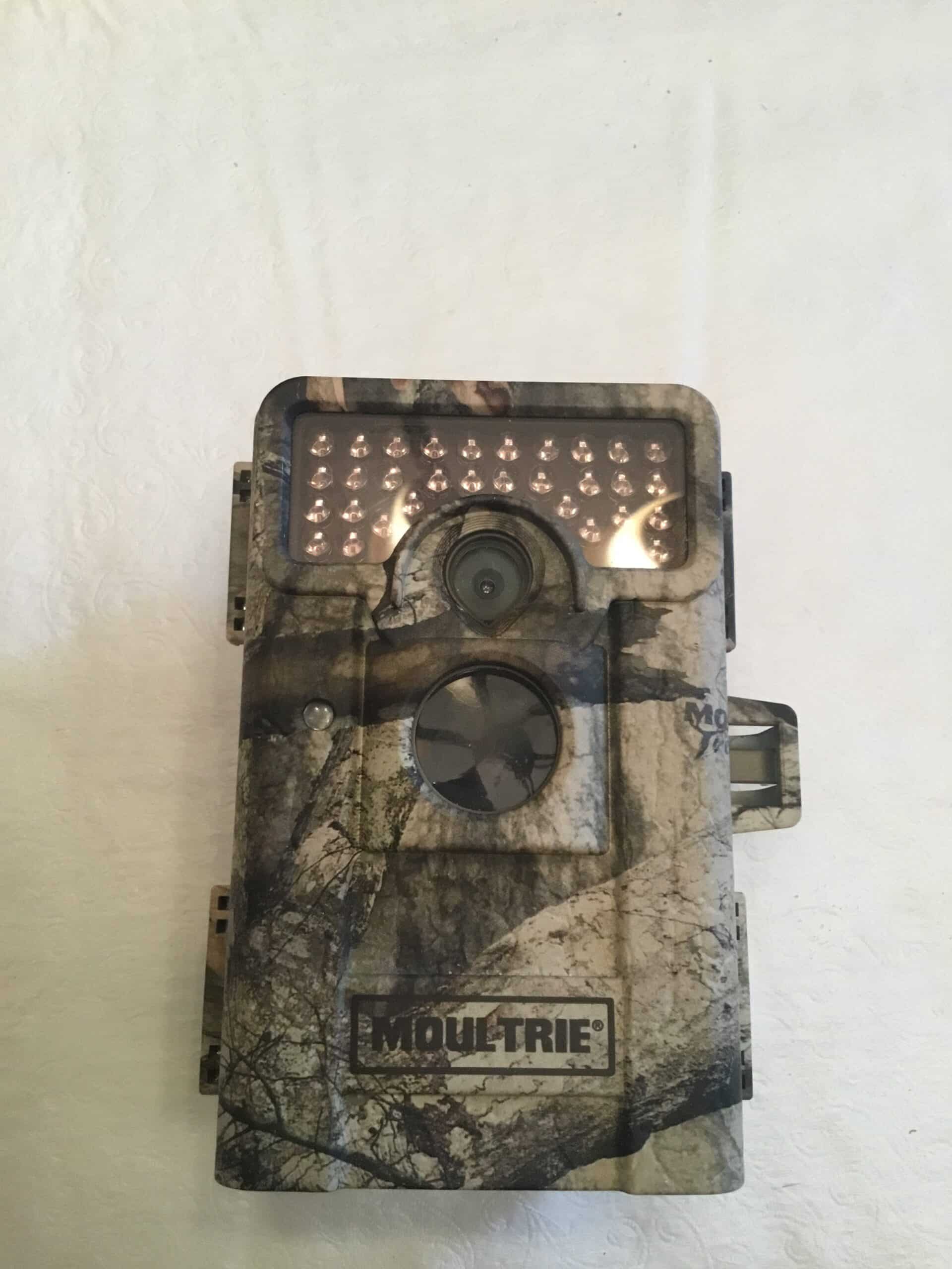 Moultrie