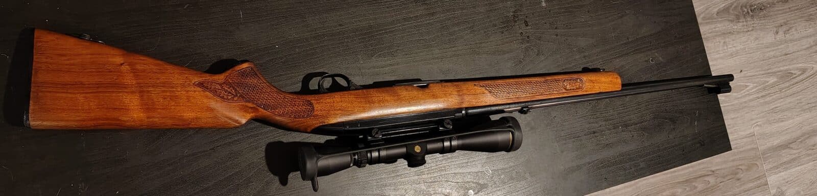 Winchester 100