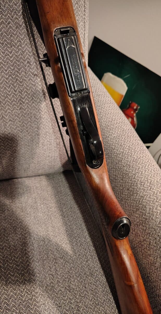 Winchester 100
