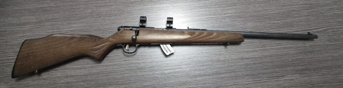 22lr savage mark II