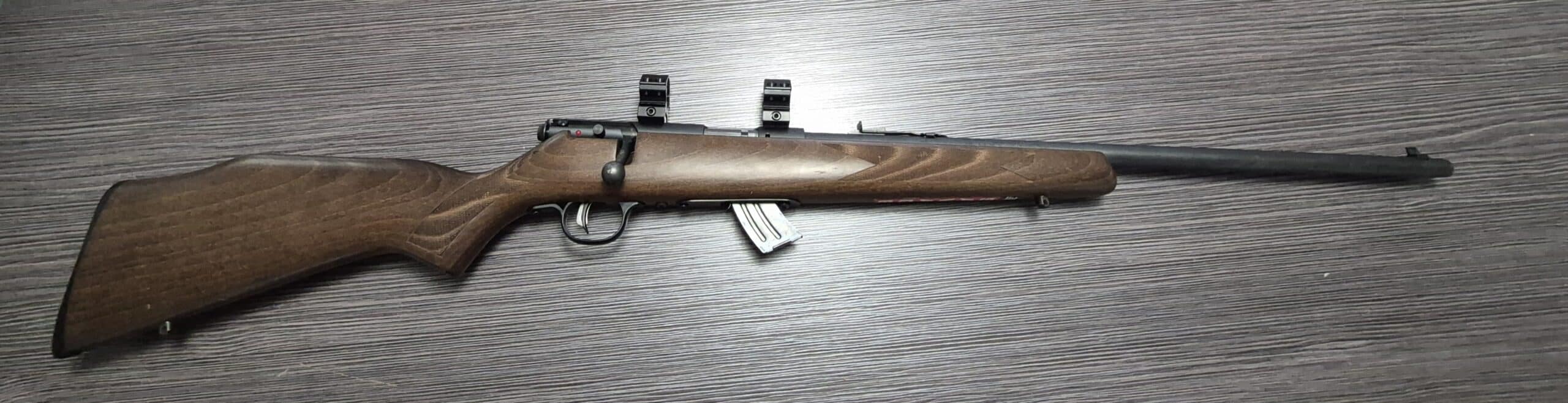 22lr savage mark II
