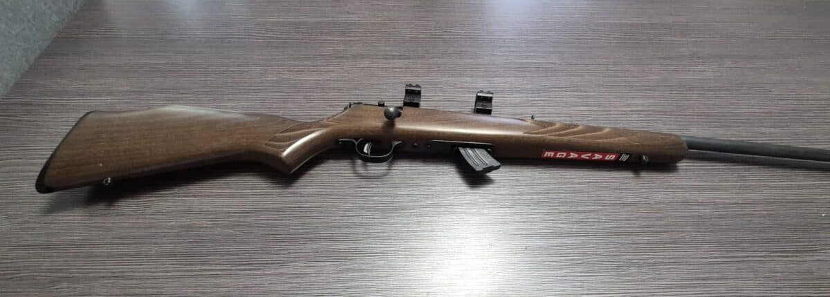 22lr savage mark II