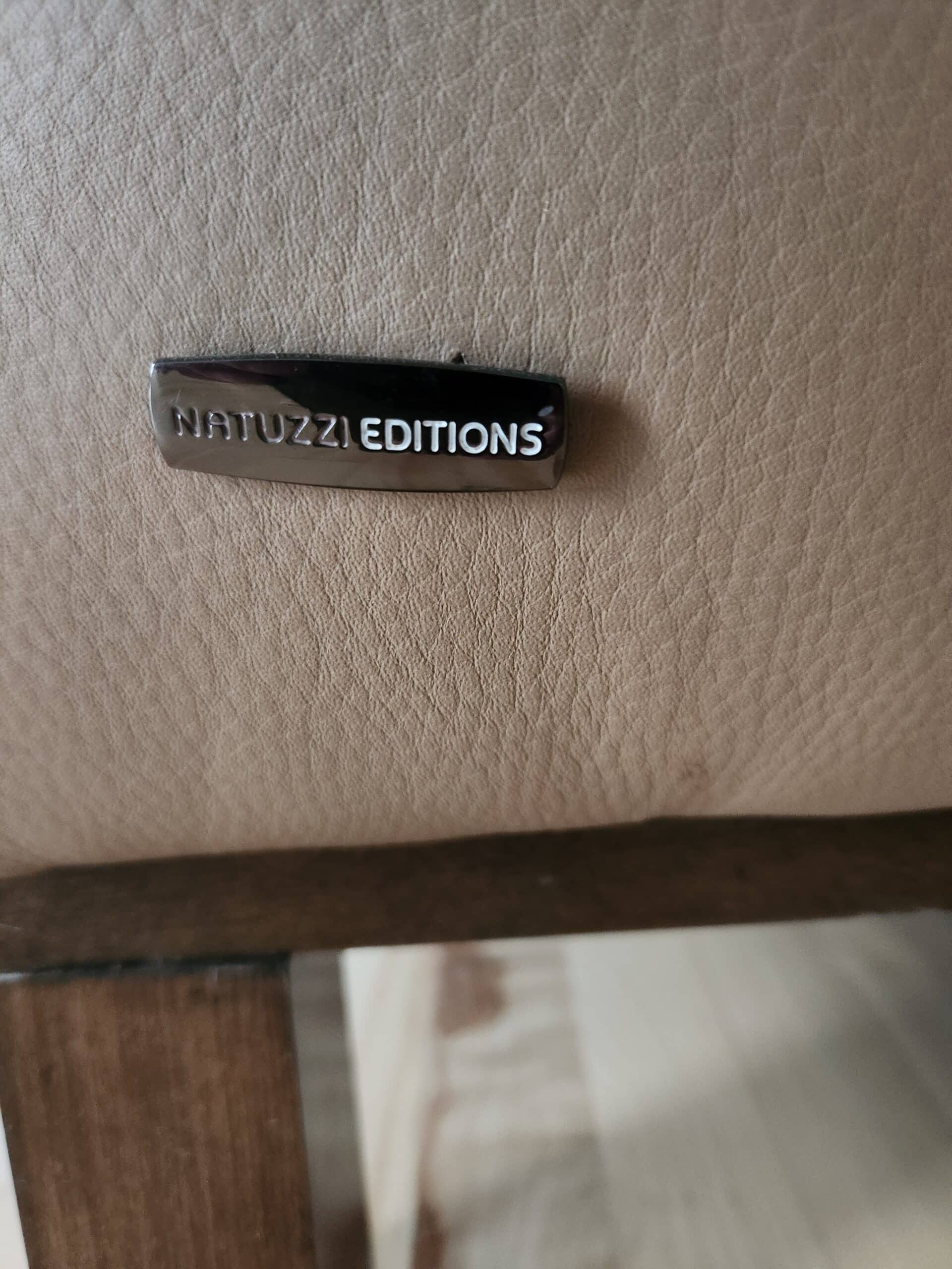 Divan et fauteuil en cuir