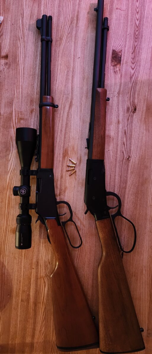 savage revel 22lr