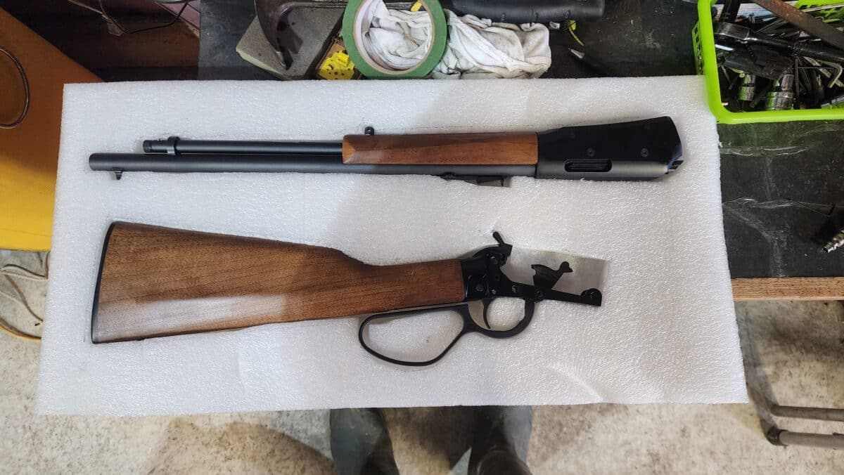 savage revel 22lr