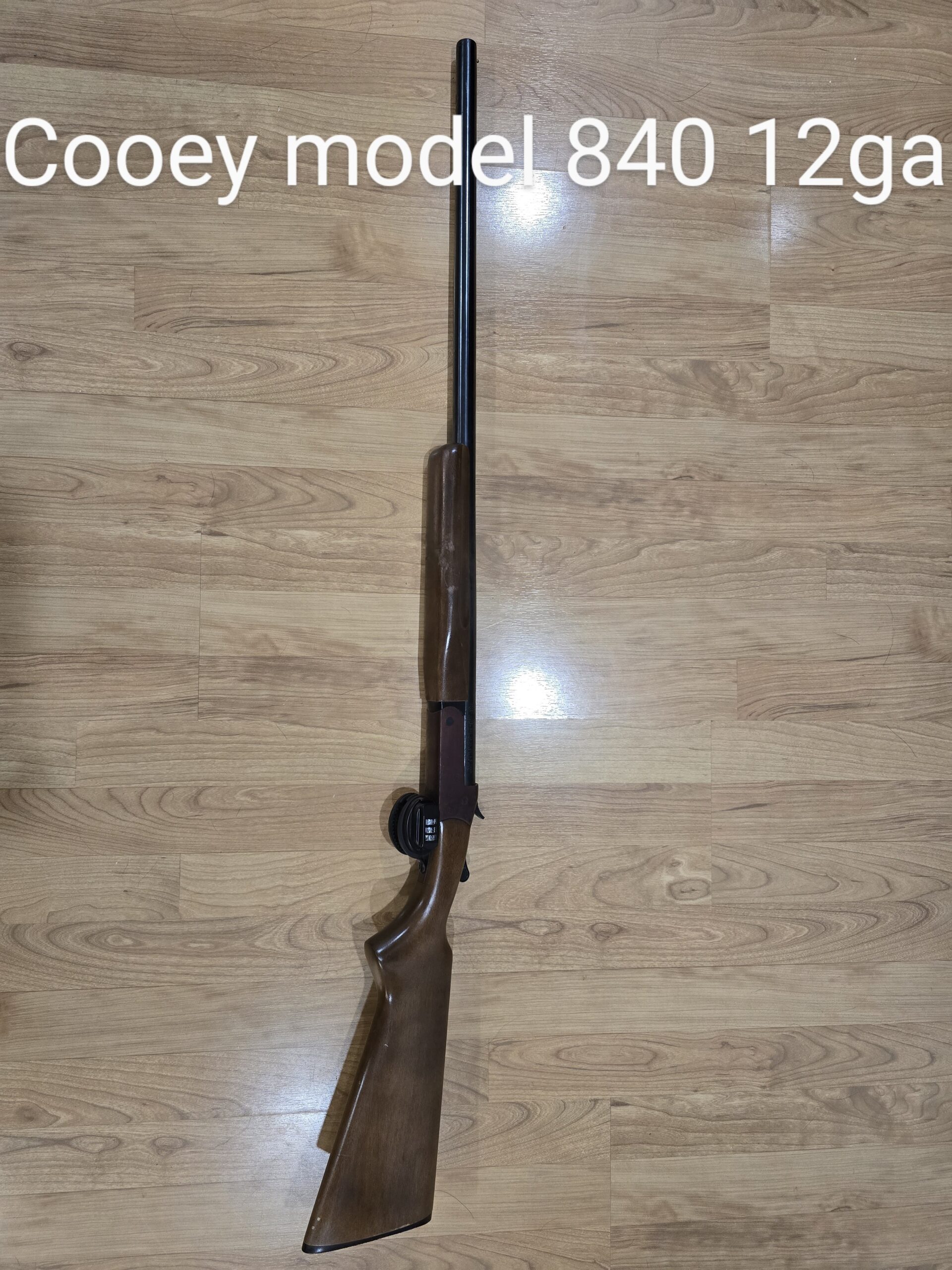 Cooey 840