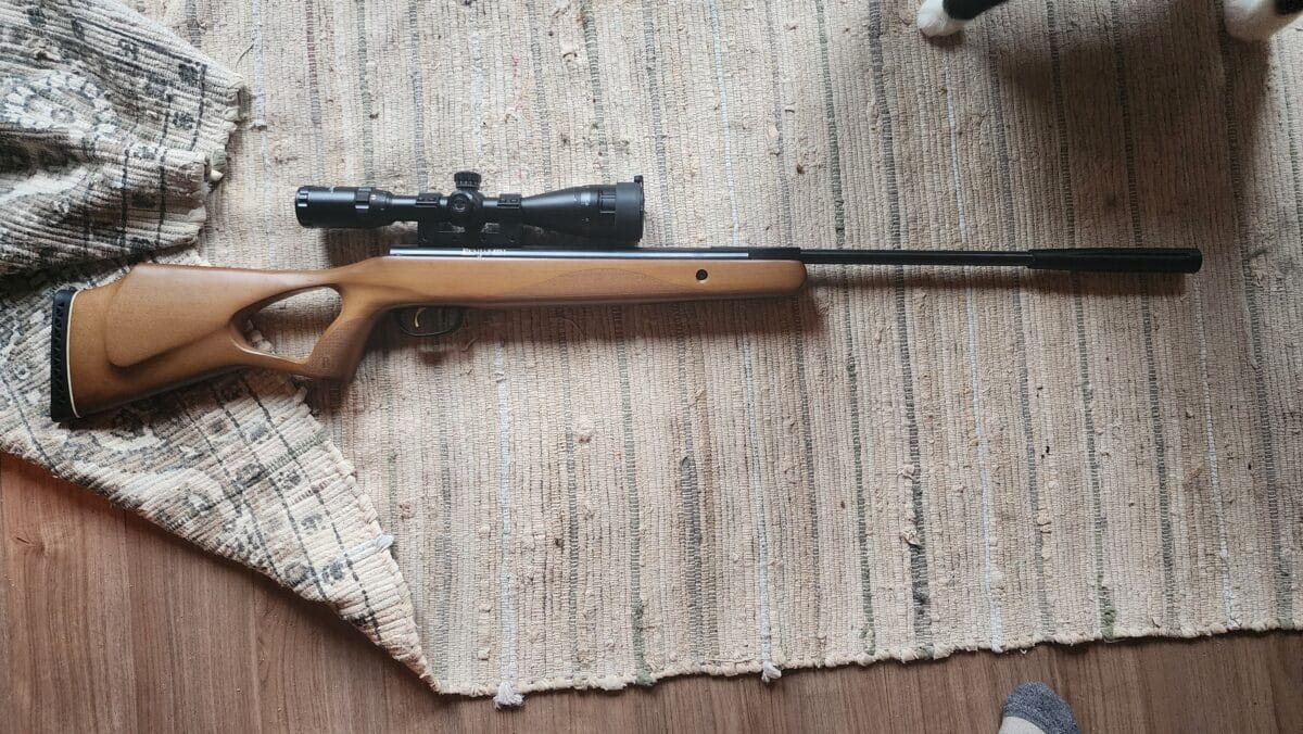 benjamin classic haute vélocité .22