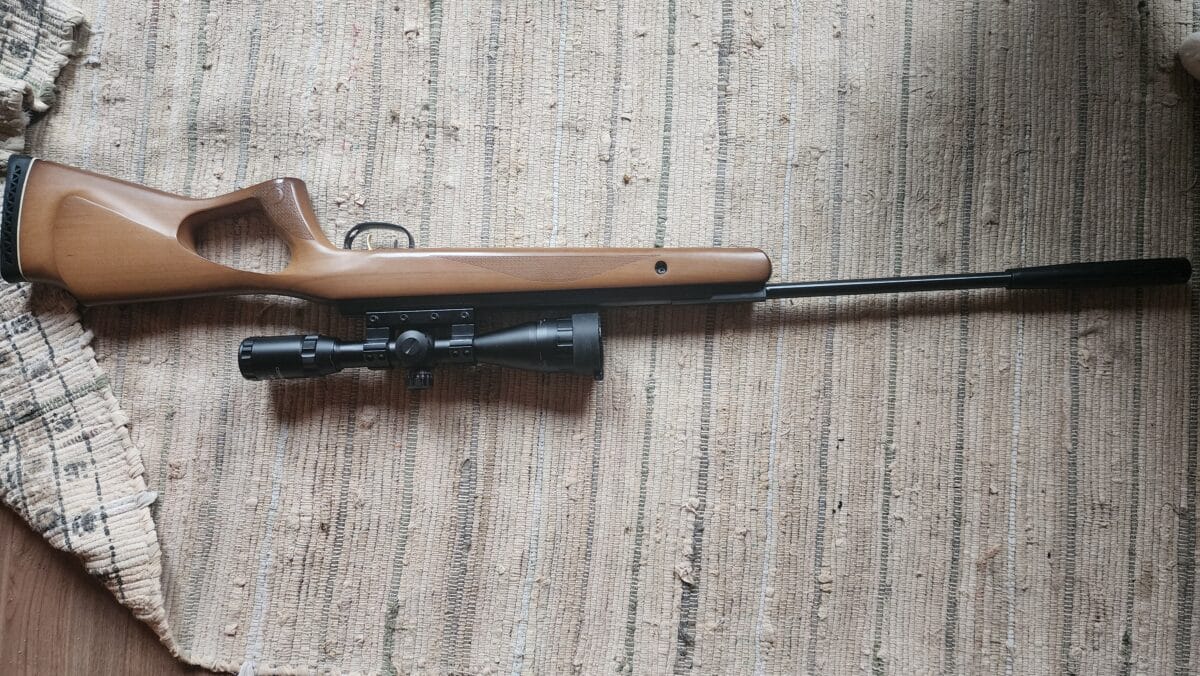 benjamin classic haute vélocité .22