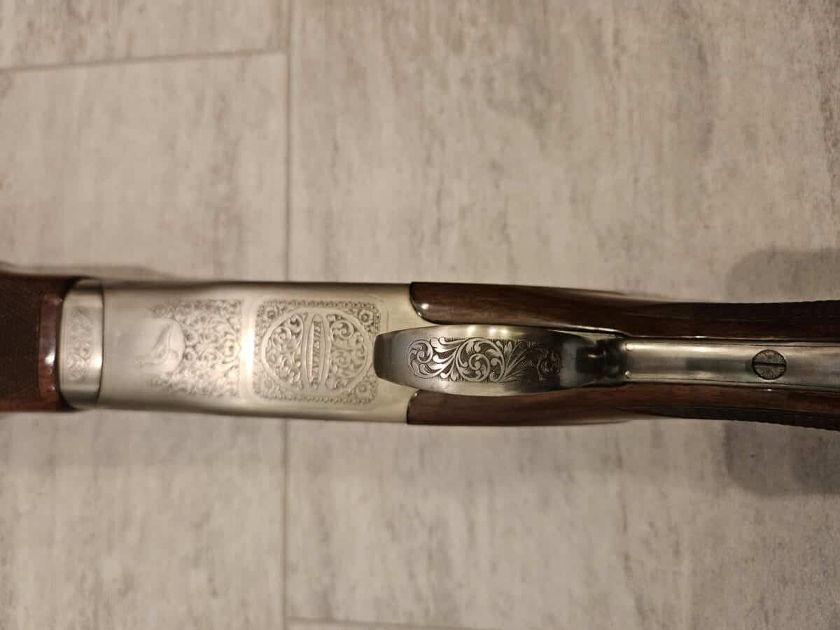 Winchester xpr pigeon grade