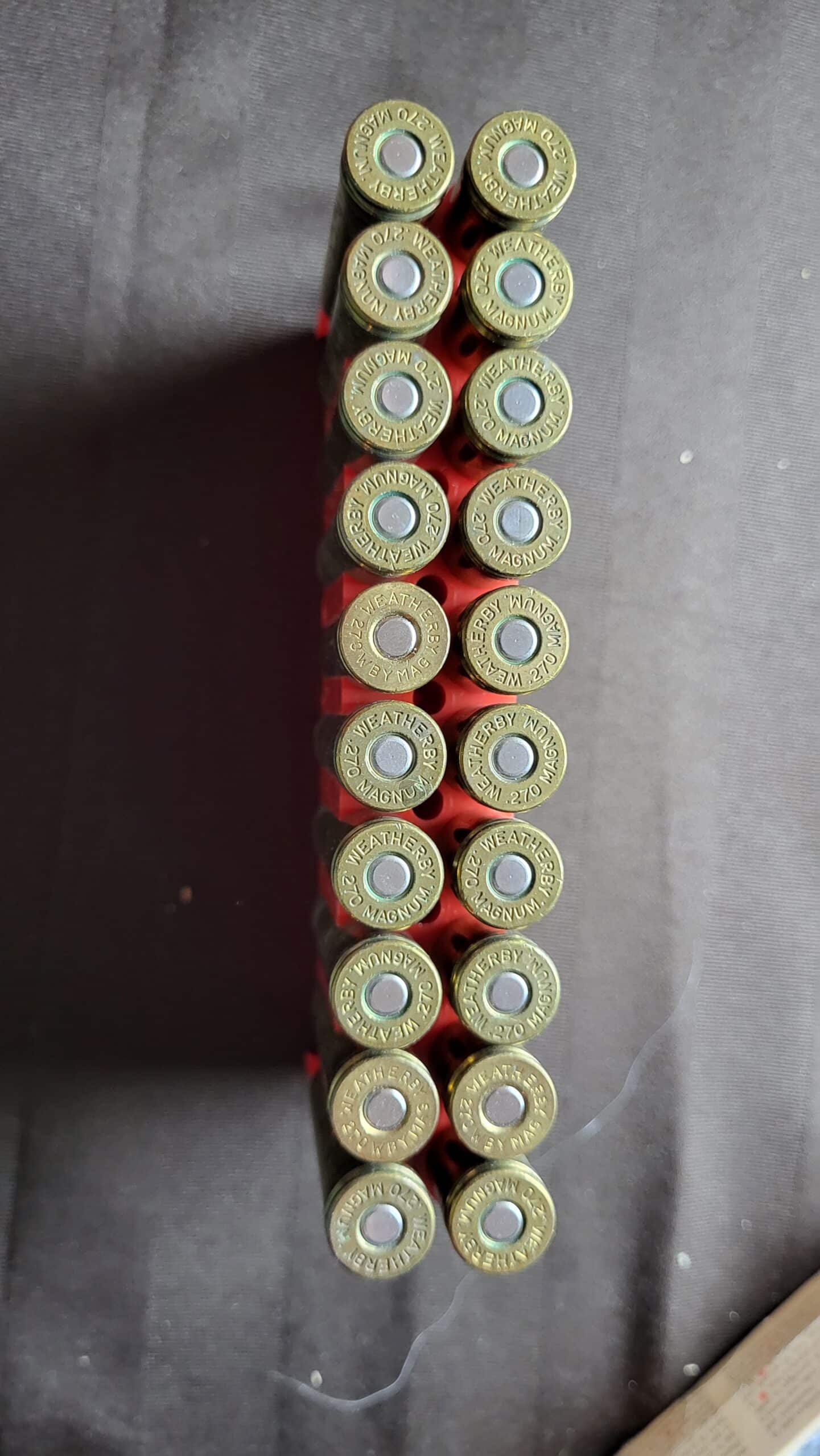 Munition 270 wby mag