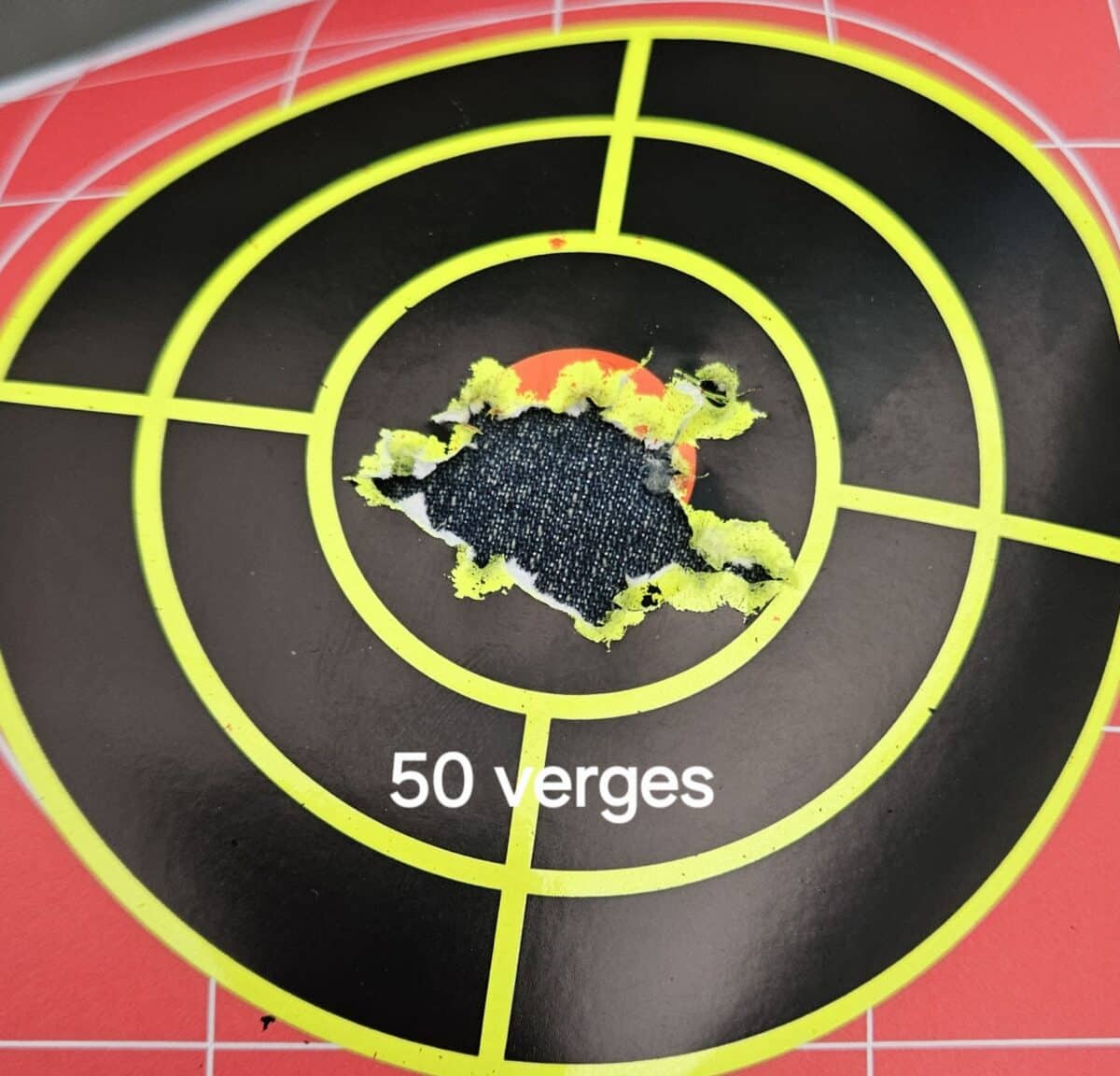 10/22 ruger édition limité stainless