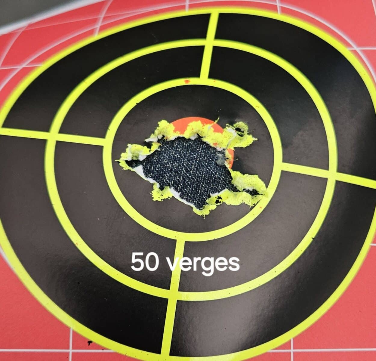 10/22 ruger édition limité stainless