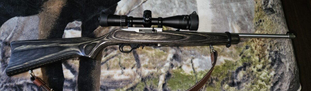 10/22 ruger édition limité stainless