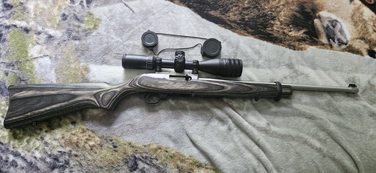 10/22 ruger édition limité stainless