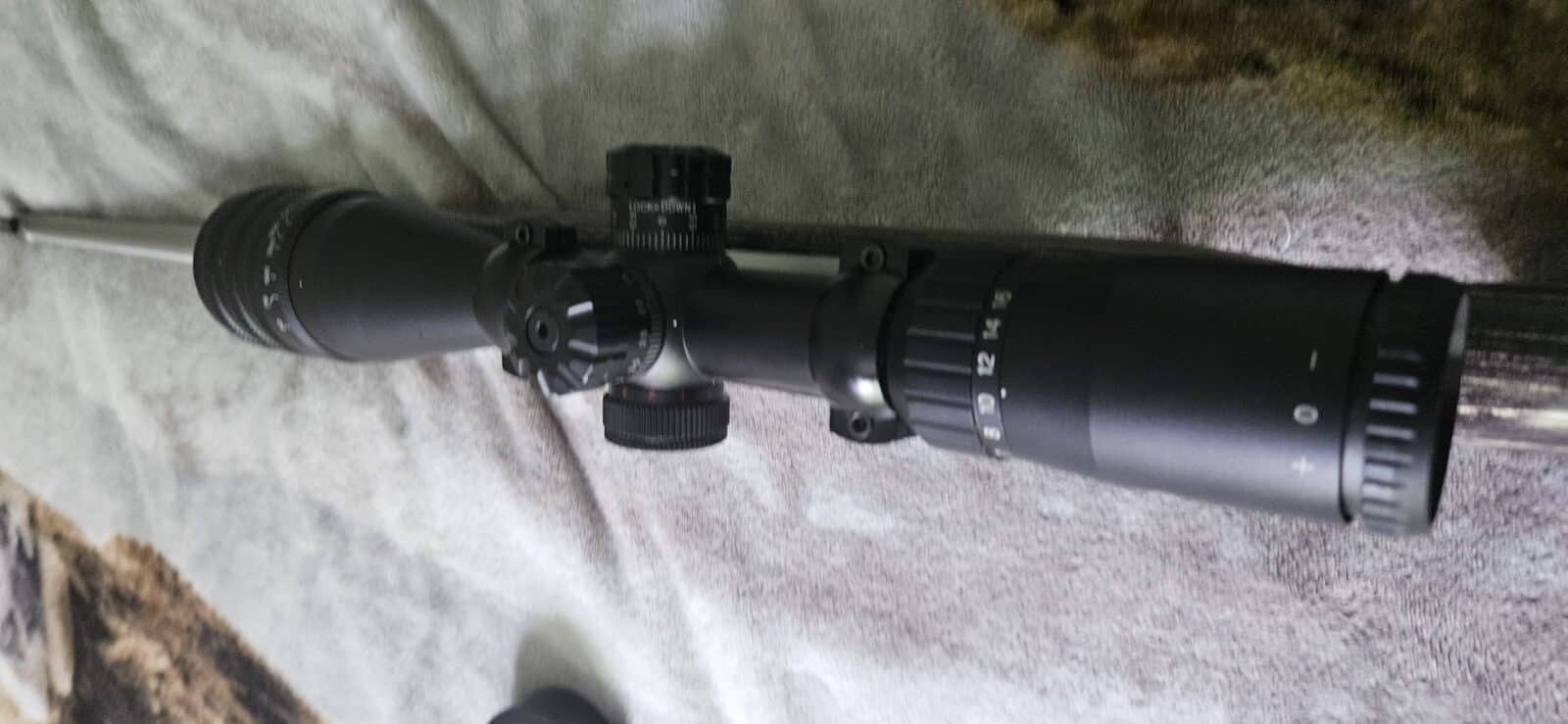10/22 ruger édition limité stainless