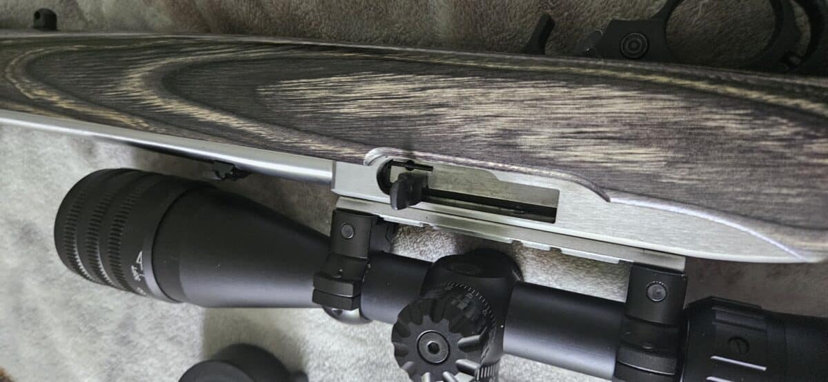 10/22 ruger édition limité stainless