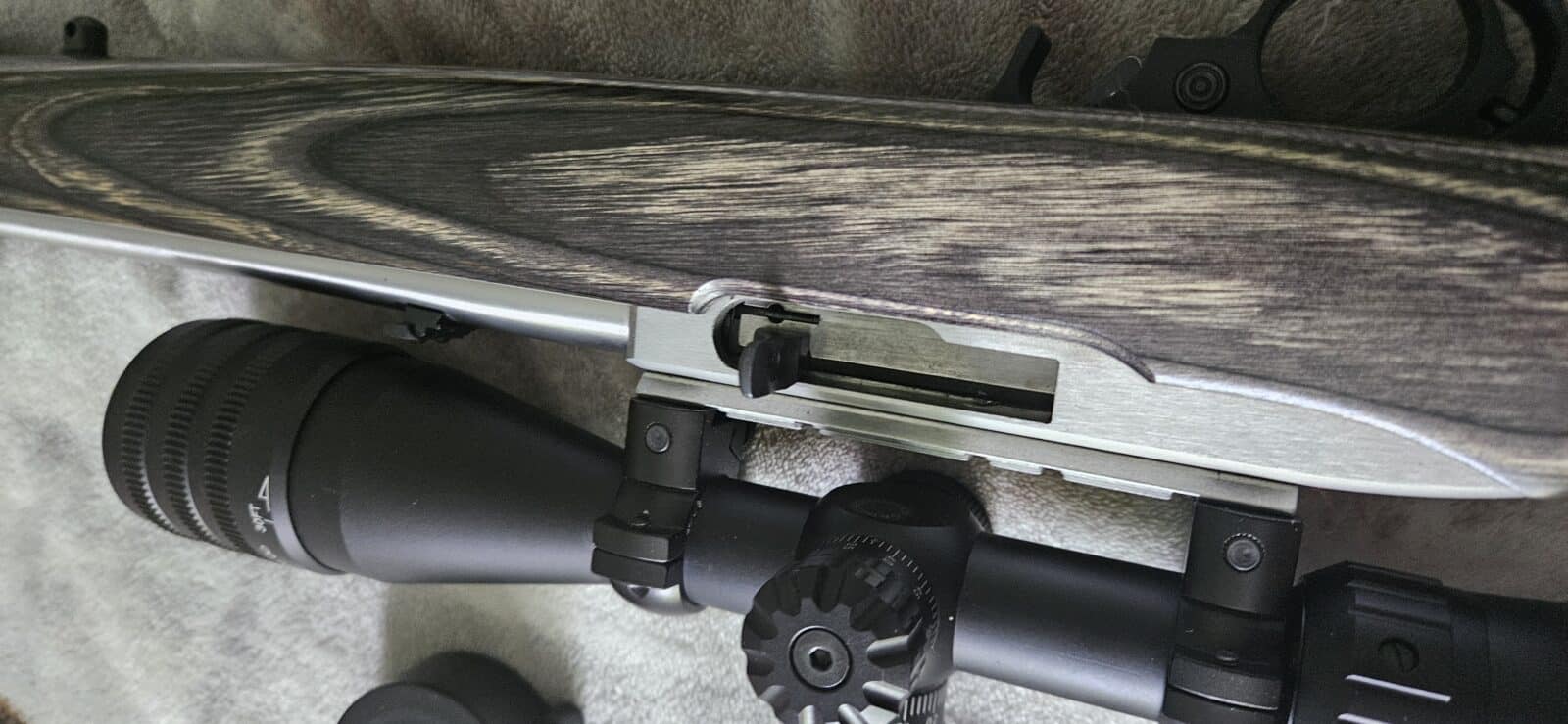 10/22 ruger édition limité stainless