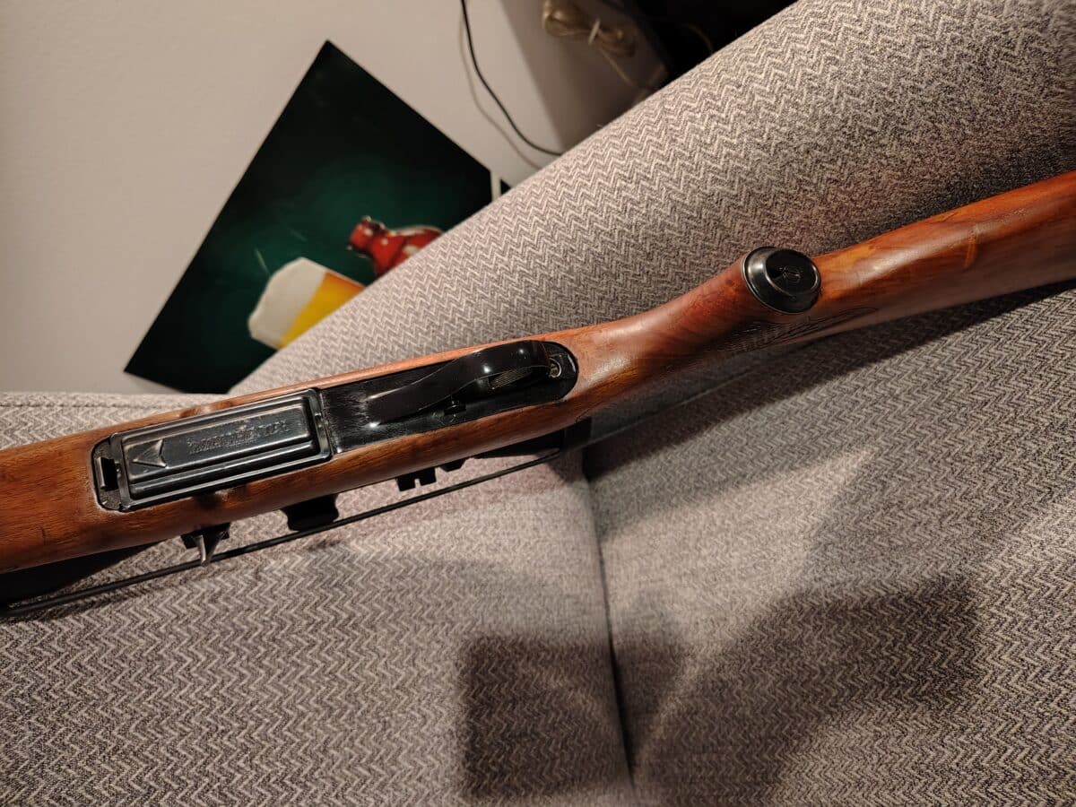 Winchester 100