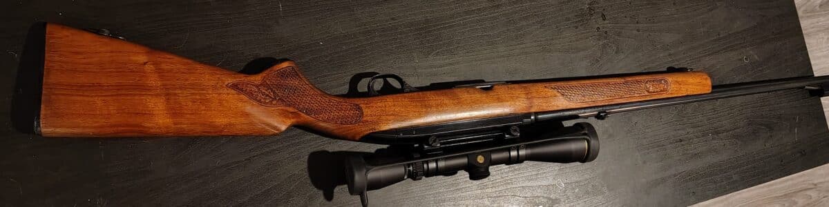 Winchester 100