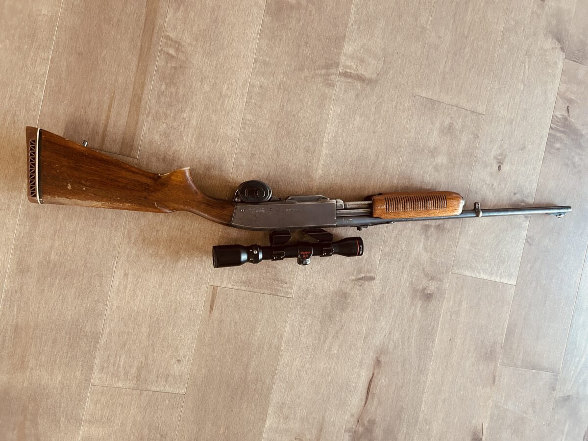 carabine 300 savage a pump