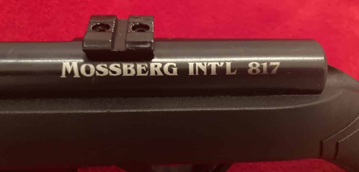 EXCELLENTE ARME POUR PRATIQUER LE TIR À LA CIBLE LE PETIT GIBIER