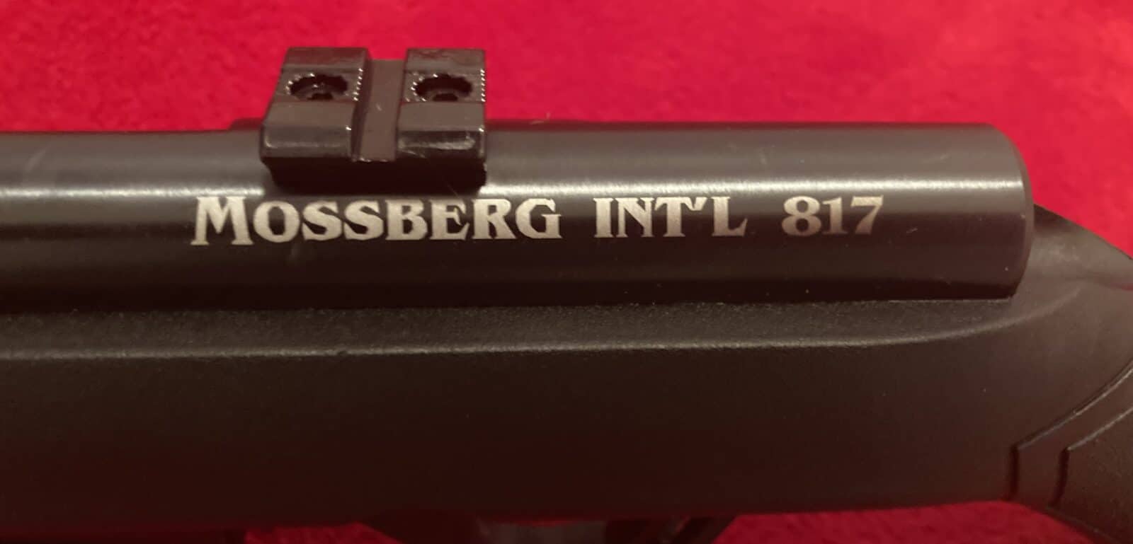 EXCELLENTE ARME POUR PRATIQUER LE TIR À LA CIBLE LE PETIT GIBIER
