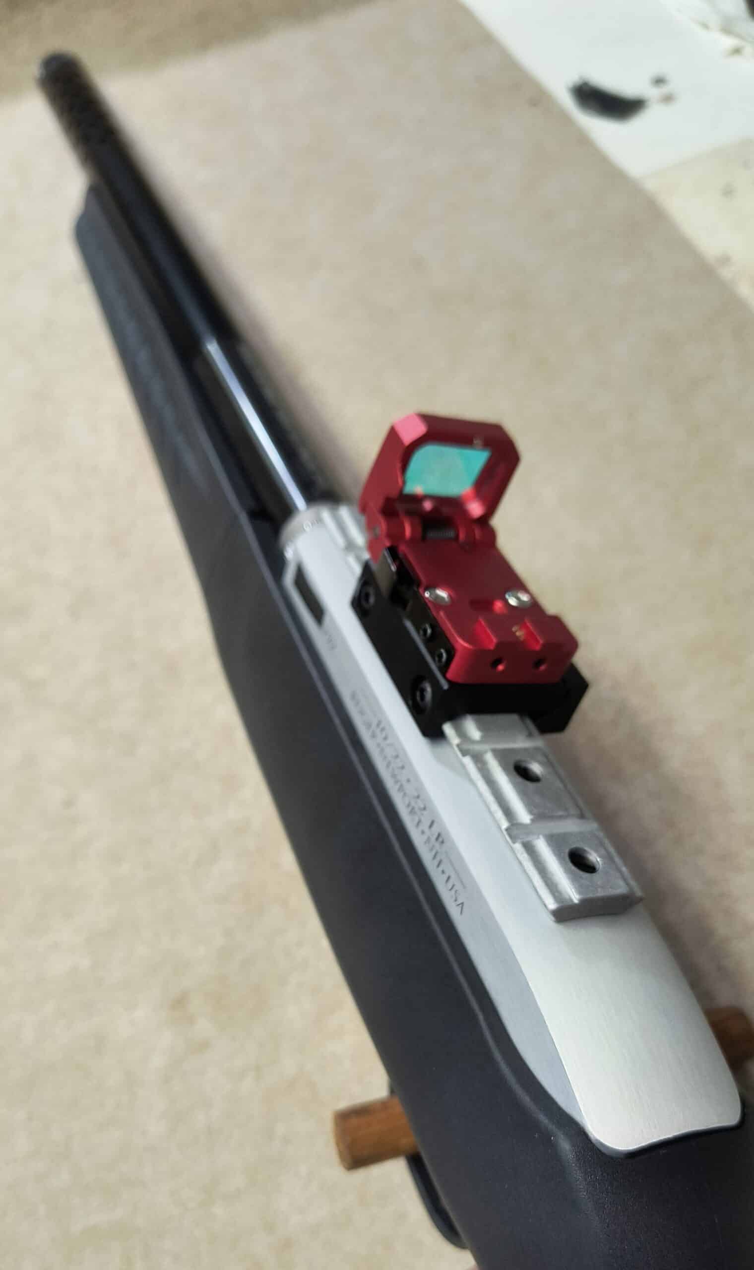 Ruger 10/22 Lite Take Down