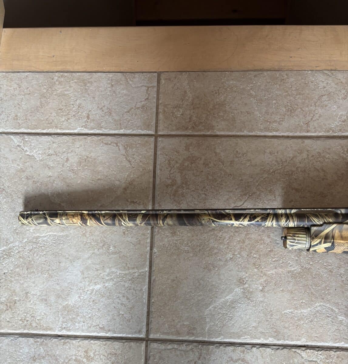 Benelli Super Black Eagle 2 (SBE2)